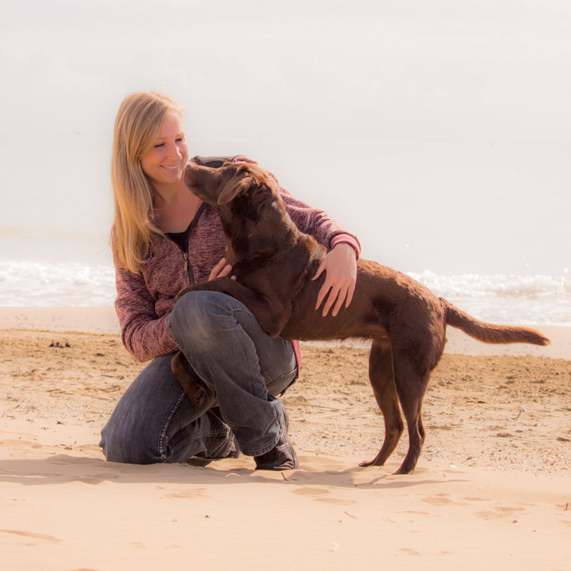 Chrissy Zeh Hundetrainer Hundetraining online Hundeerziehung