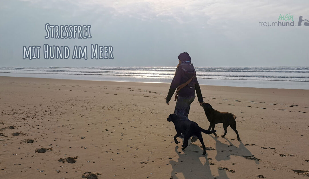 Stressfrei mit Hund am Meer