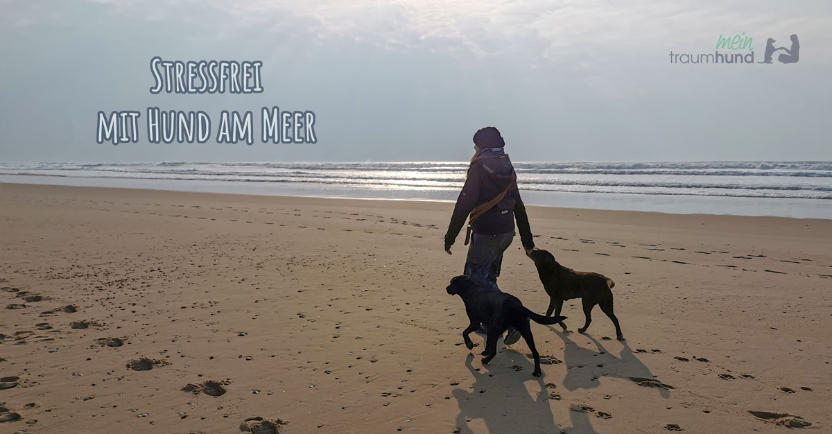 Stressfrei mit Hund am Meer