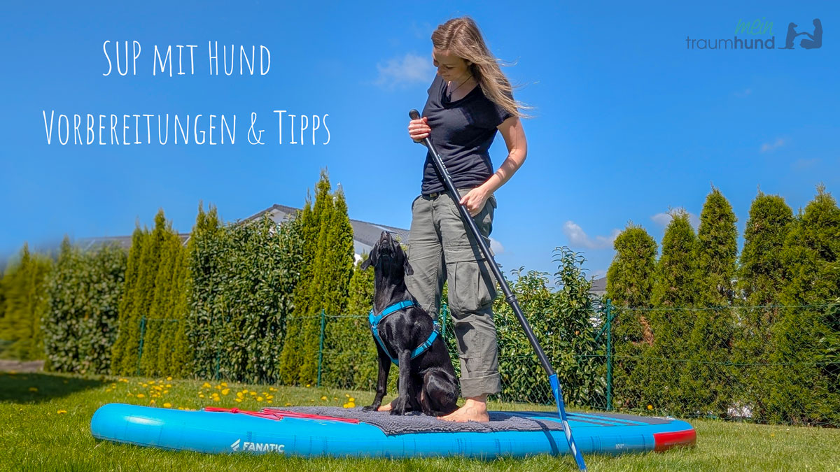 SUP mit Hund – Vorbereitungen & Tipps