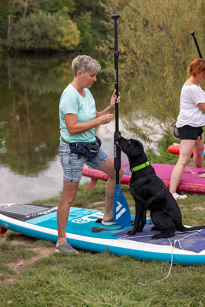 sup-hund-11