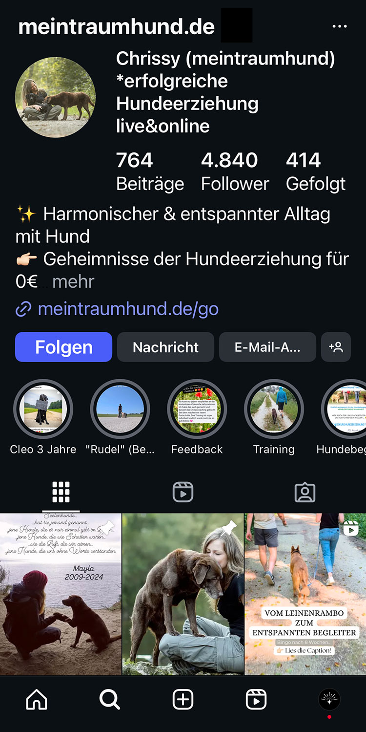 Instagram Kanal von @meintraumhund.de