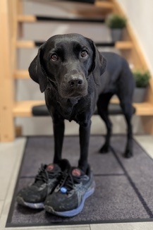 5d5cabb4-5549-4f47-af23-b32e6ae4eb01