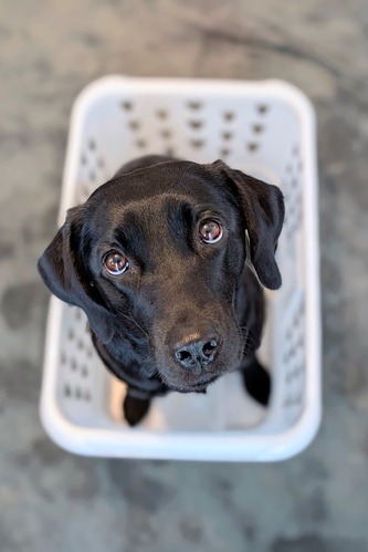 7a6901b5-764a-4b2e-9a21-1b0e3bc2f25d-2